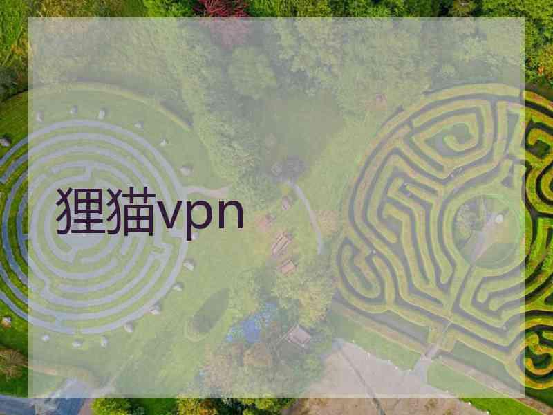 狸猫vpn