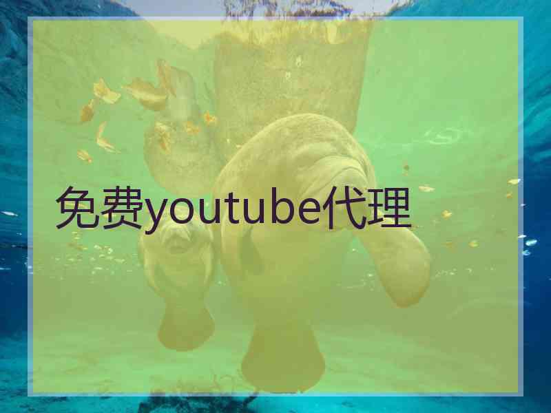 免费youtube代理