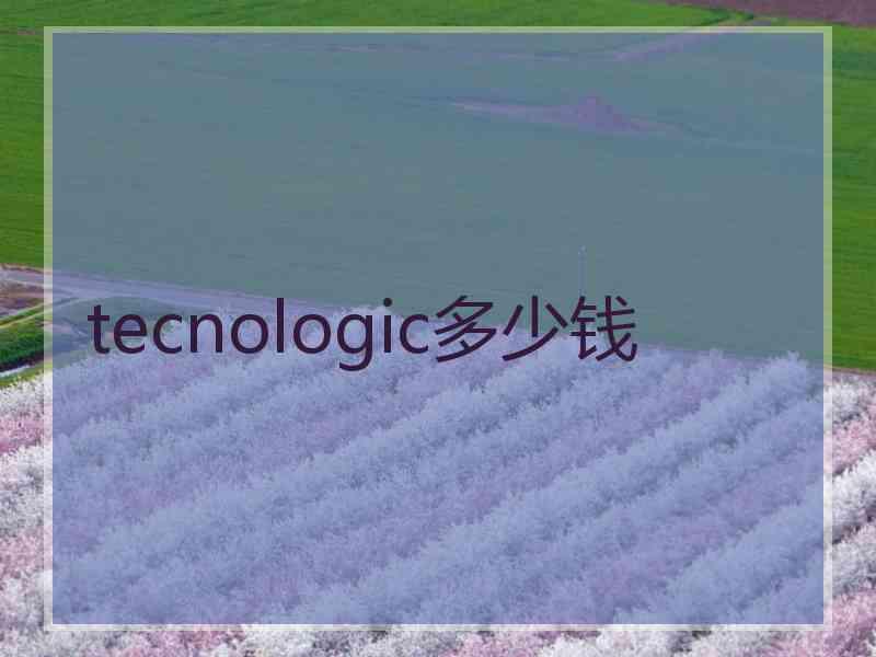 tecnologic多少钱