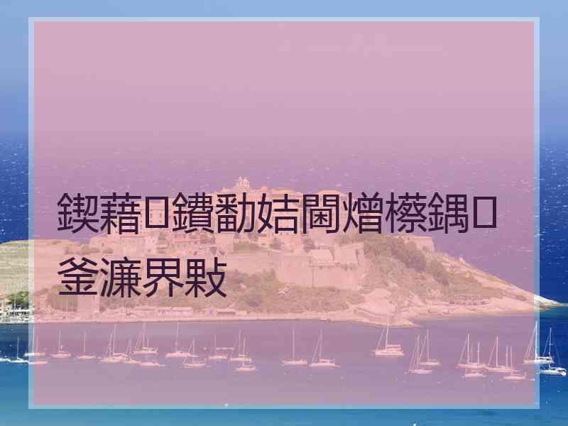 鍥藉鐨勫姞閫熷櫒鍝釜濂界敤