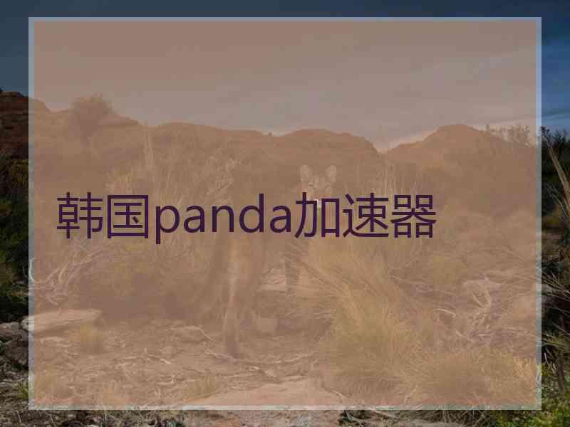 韩国panda加速器