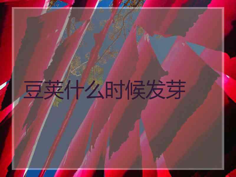 豆荚什么时候发芽