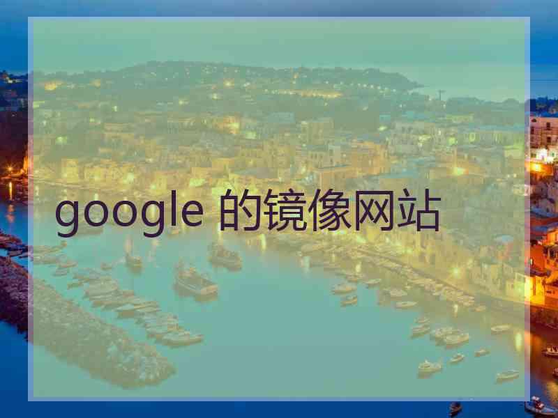 google 的镜像网站