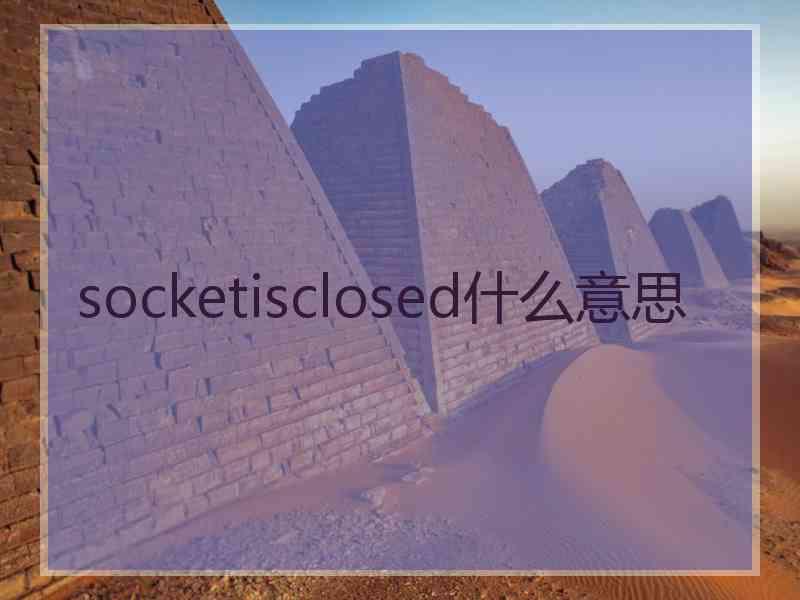 socketisclosed什么意思