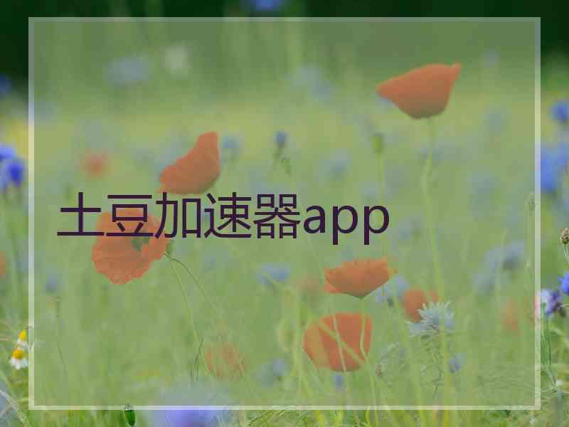 土豆加速器app