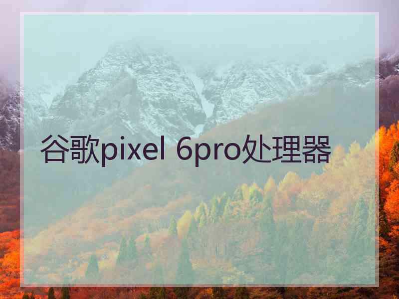 谷歌pixel 6pro处理器