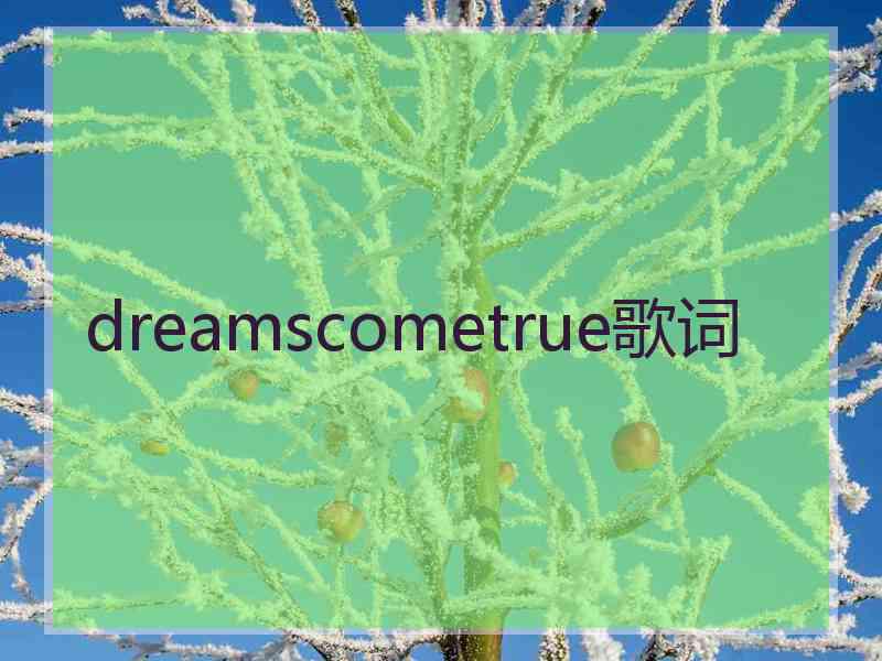 dreamscometrue歌词