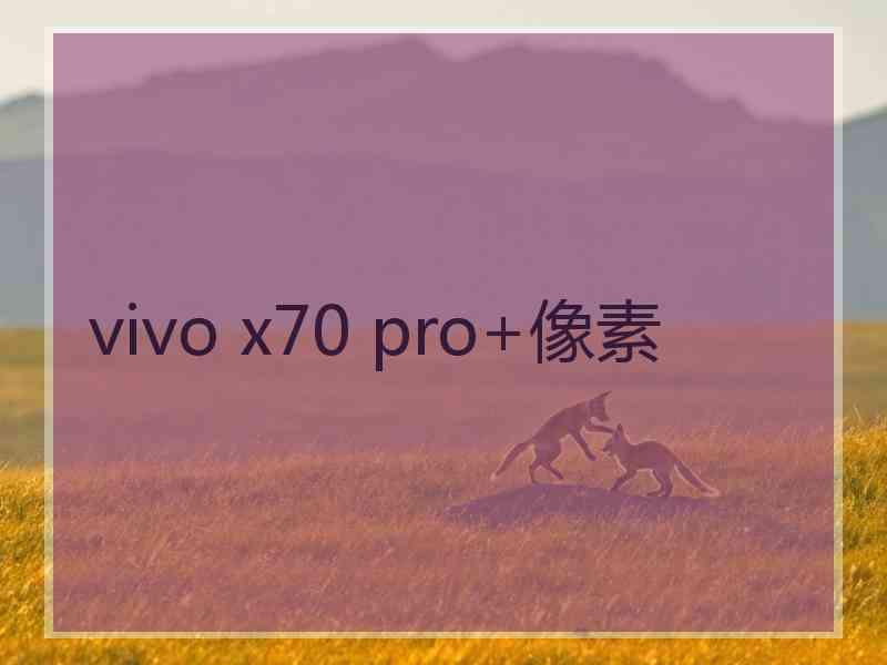 vivo x70 pro+像素