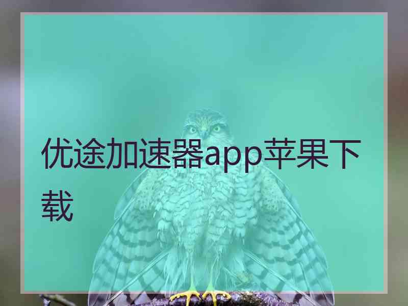 优途加速器app苹果下载