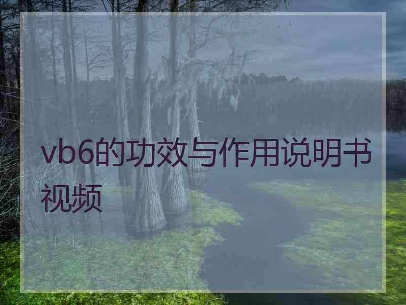 vb6的功效与作用说明书视频