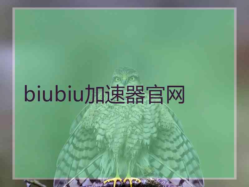 biubiu加速器官网