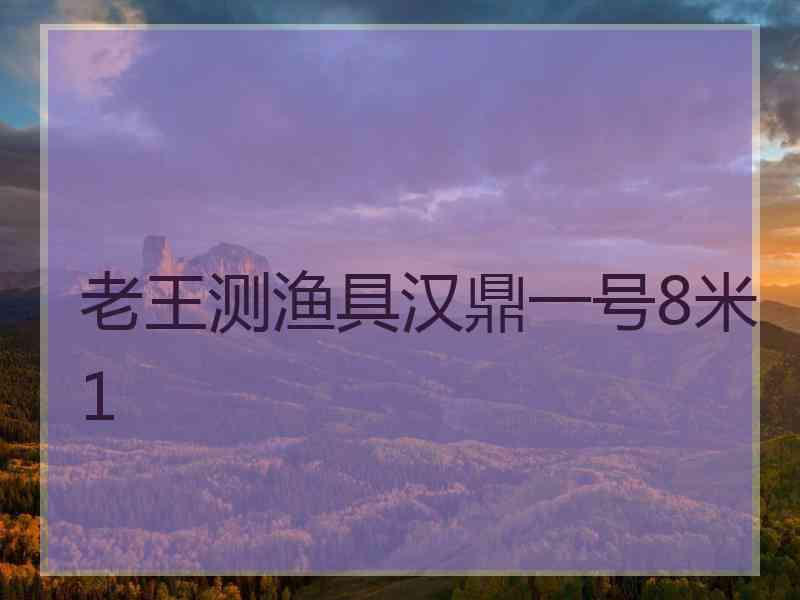 老王测渔具汉鼎一号8米1