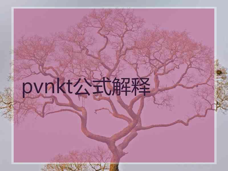 pvnkt公式解释