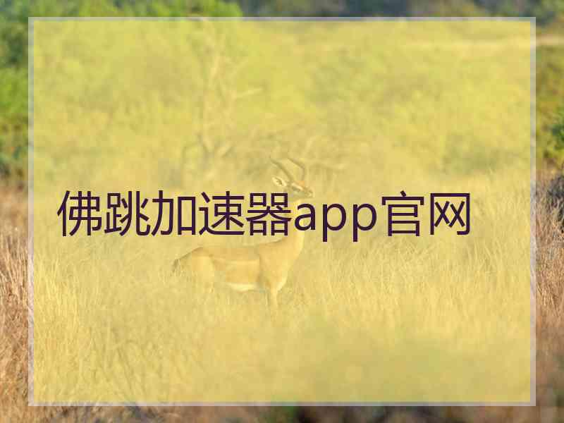 佛跳加速器app官网