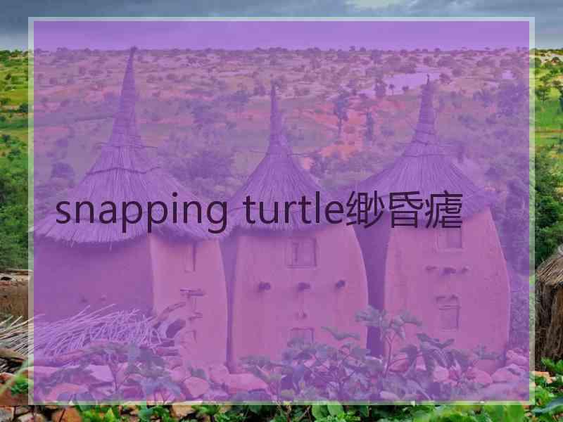 snapping turtle缈昏瘧