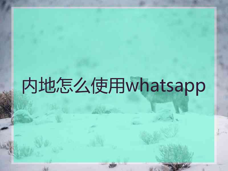 内地怎么使用whatsapp