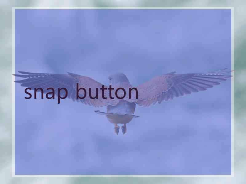 snap button