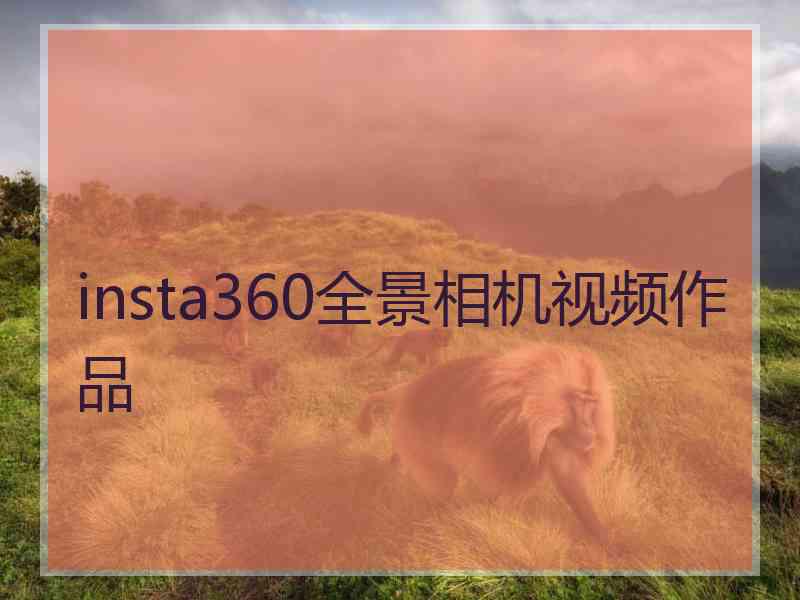 insta360全景相机视频作品