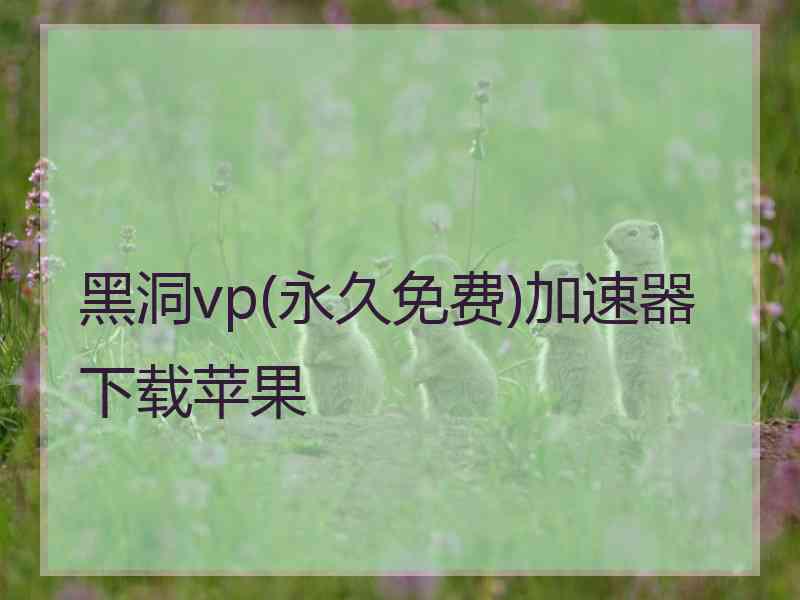 黑洞vp(永久免费)加速器下载苹果