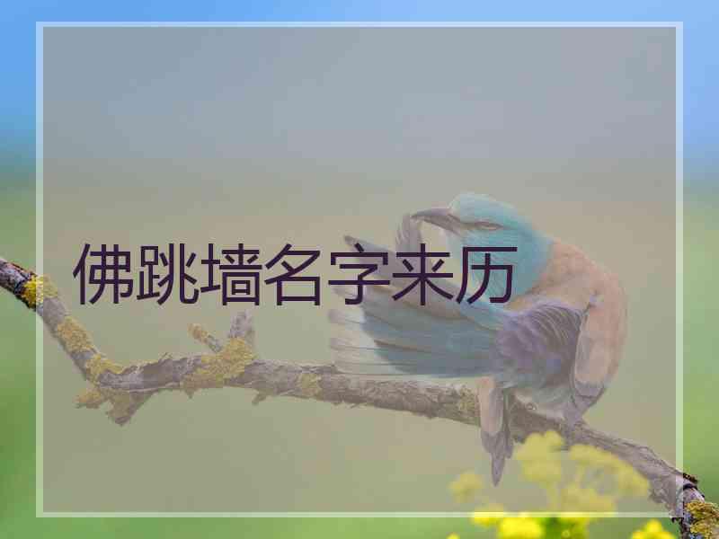 佛跳墙名字来历