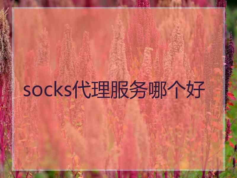 socks代理服务哪个好