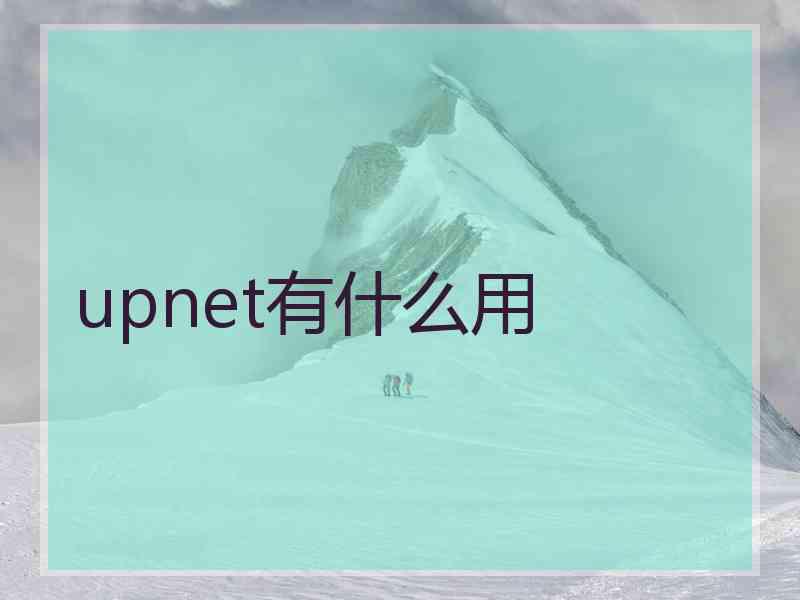 upnet有什么用