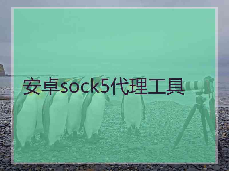 安卓sock5代理工具