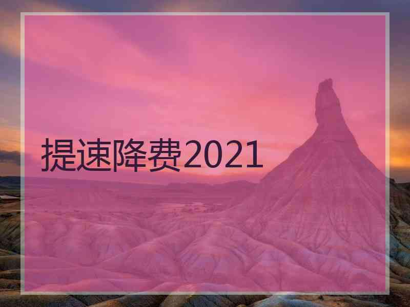 提速降费2021