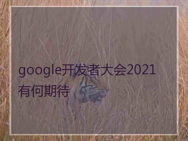 google开发者大会2021有何期待