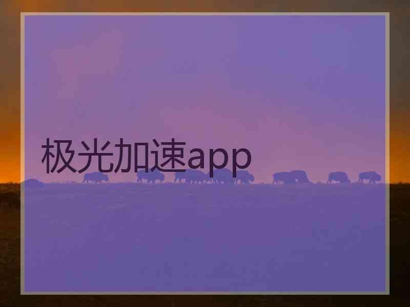 极光加速app