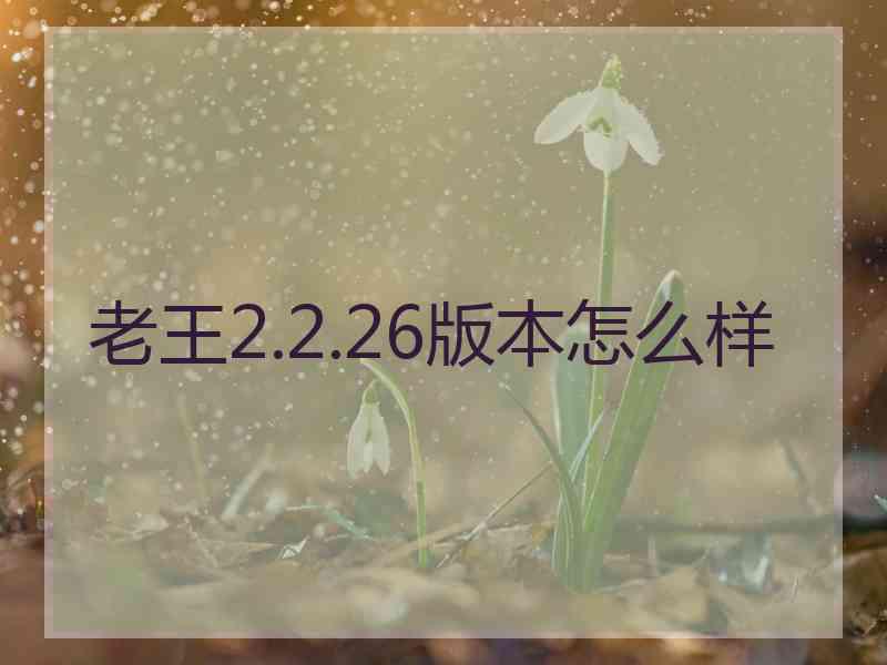 老王2.2.26版本怎么样