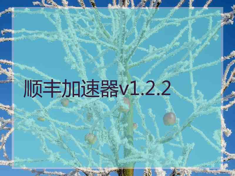 顺丰加速器v1.2.2