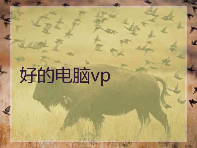 好的电脑vp