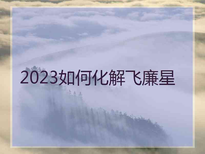 2023如何化解飞廉星