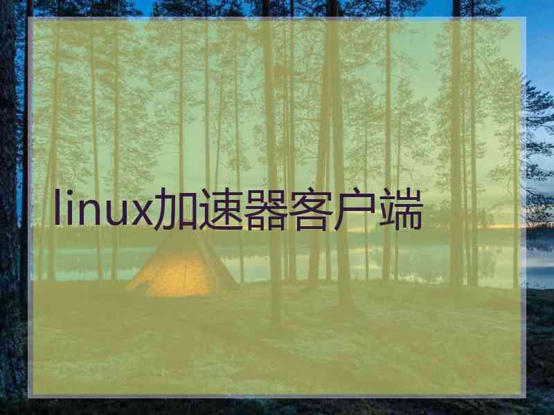 linux加速器客户端