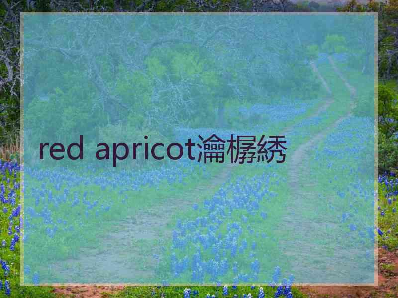 red apricot瀹樼綉