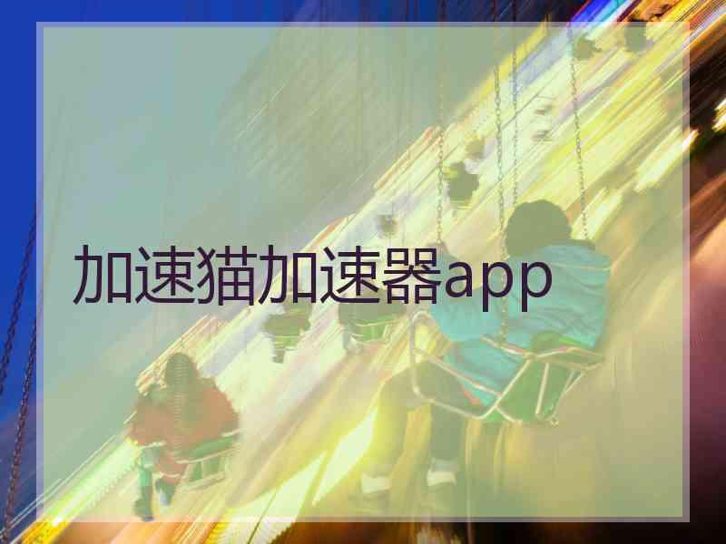 加速猫加速器app