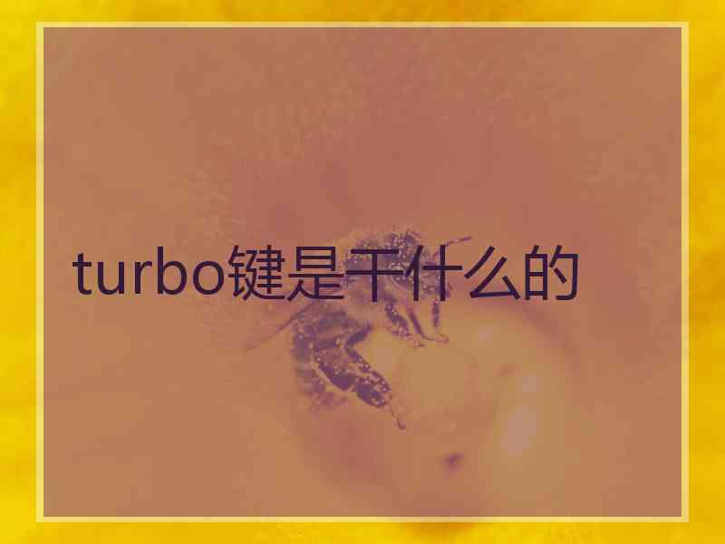 turbo键是干什么的