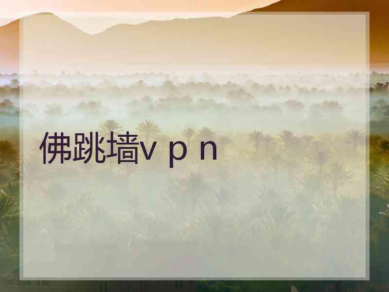 佛跳墙v p n