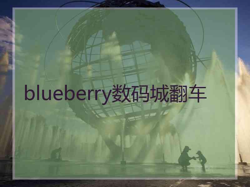 blueberry数码城翻车