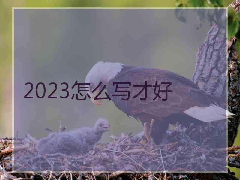 2023怎么写才好