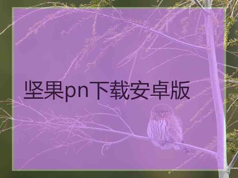 坚果pn下载安卓版