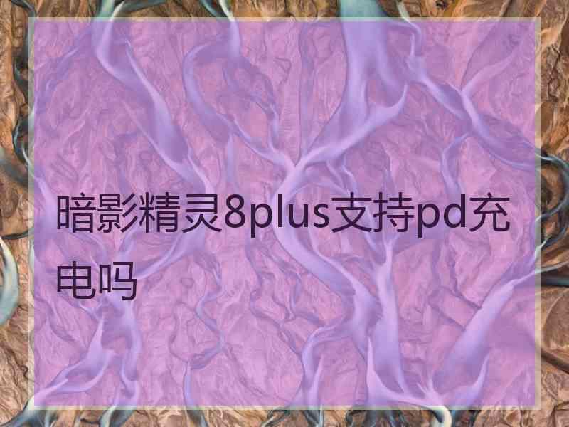 暗影精灵8plus支持pd充电吗