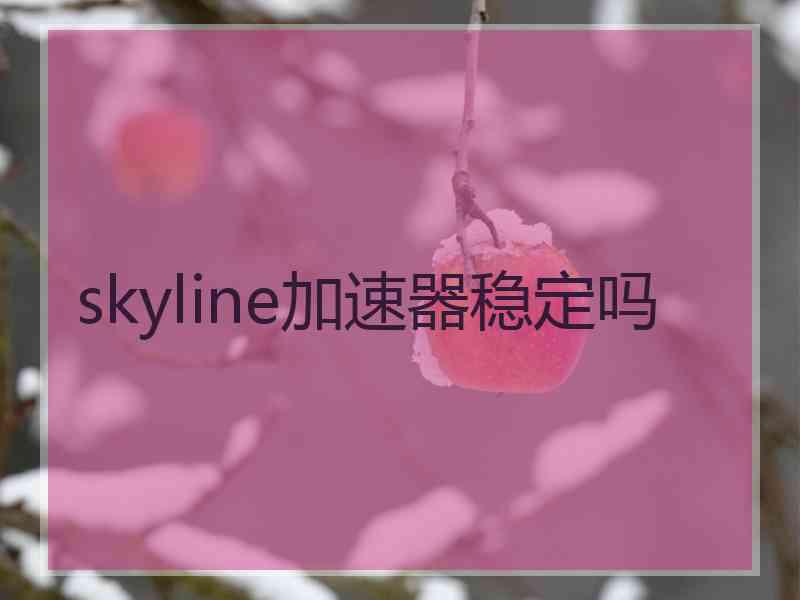 skyline加速器稳定吗