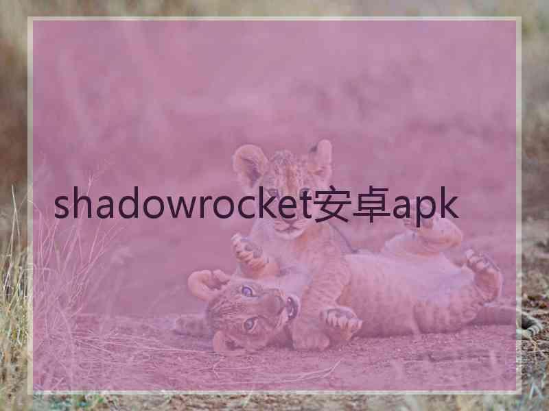 shadowrocket安卓apk