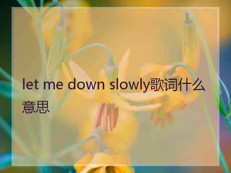 let me down slowly歌词什么意思