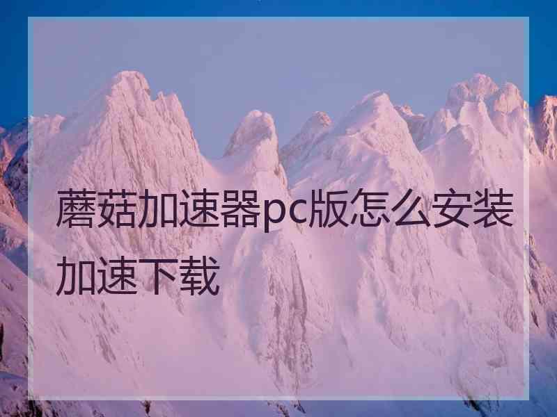 蘑菇加速器pc版怎么安装加速下载