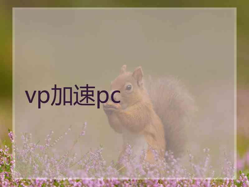 vp加速pc