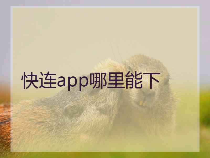 快连app哪里能下