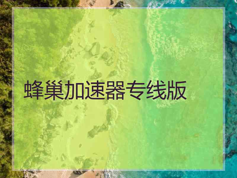 蜂巢加速器专线版